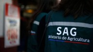 Ministerio de Agricultura solicitó renuncia del director del SAG