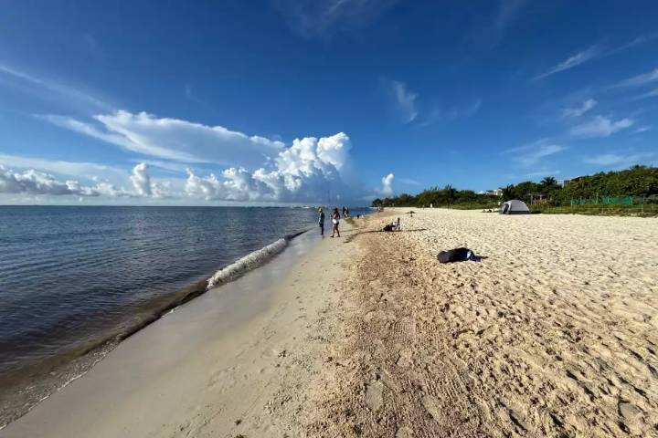 Barrera Arrecifal “Francisco I Madero” en riesgo por obras de la CFE en Playa 88