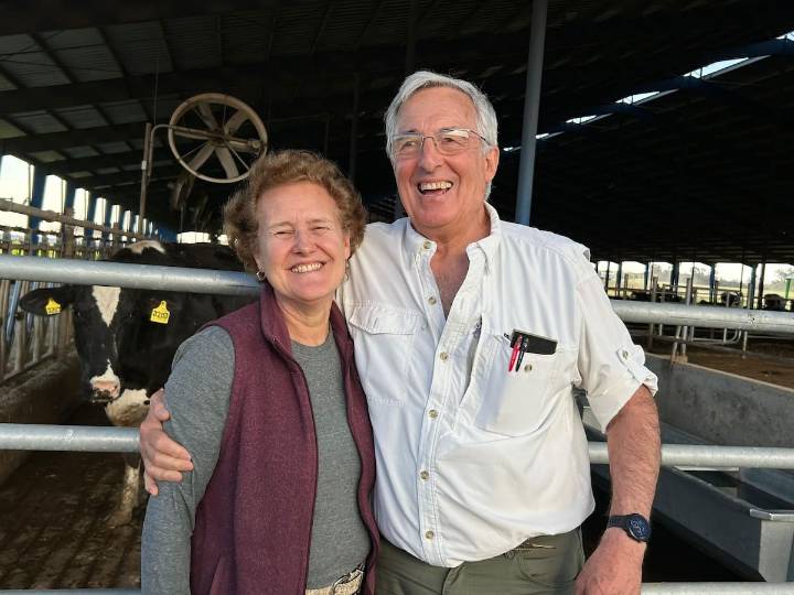 Tiene 1000 vacas. El tambo de más de 100 años que unió arte, familia y es un modelo exitoso