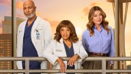 When Will 'Grey's Anatomy' Season 22 Be On Netflix?
