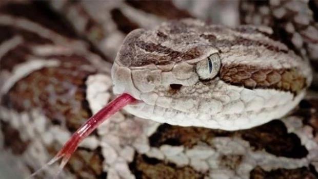 Había una vez… un hombre a la deriva