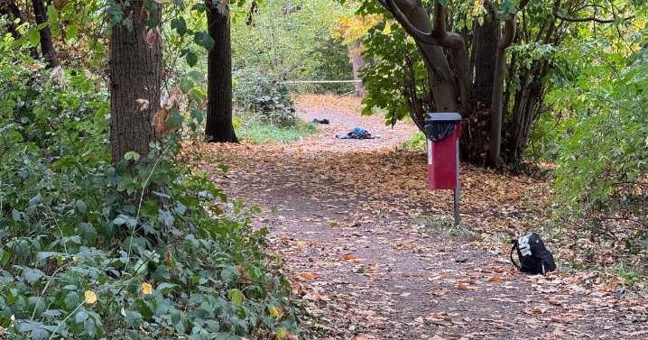 Second Catford stabbing in 5 hours sees man rushed to hospital after attack in park