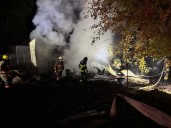 2 dogs, 19 puppies die in Southwest Michigan fire