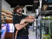 Police arrest man in connection with break-in above exotic pet shop