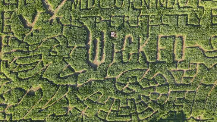 ‘Wicked’ corn maze, alpacas, pumpkins: Find fall fun in DC area