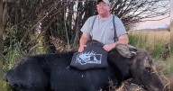 Montana veteran gets hunt of a lifetime from donated moose tag