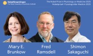 Nobel de Medicina a Brunkow, Ramsdell y Sakaguchi por la tolerancia inmunológica periférica