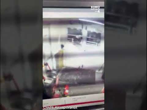 Suspect charged with smashing out ferry windows with fire extinguishers