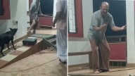 Street Dog Interrupts Rabies Awareness Play In Kerala, Bites Actor In Confusion After Sound Effects Mimic Barking Sounds