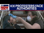 Anti-ICE protesters in Chicago and Portland