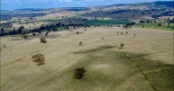 Productive Upper Hunter Valley cattle property for sale