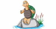 Tiko the Talking Turtle