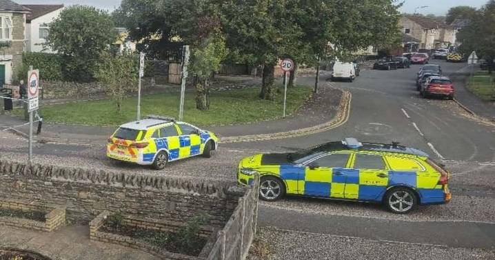 Pedestrian dies after being hit by Transit van in Bristol
