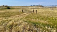 Larimer County adds to conserved land north of Fort Collins