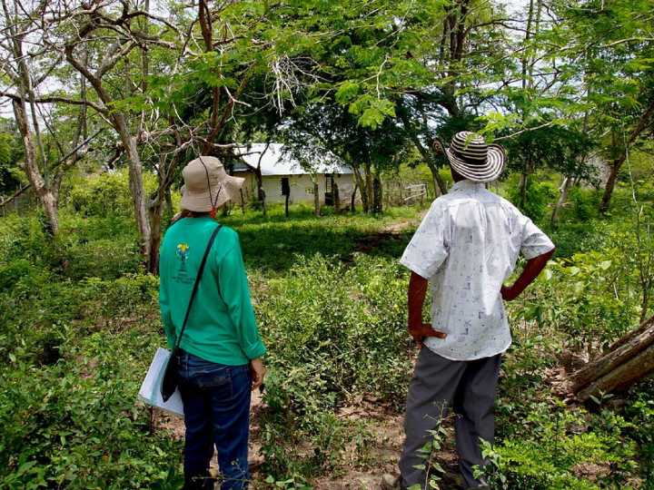 Gobierno busca establecer área Appa en Mocoa, Putumayo 
