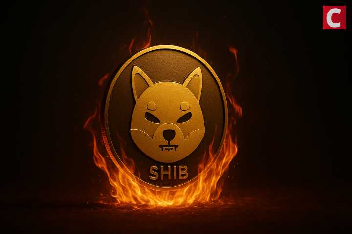 Shiba Inu Burn Rate Jumps 222%, Will SHIB Price Follow?
