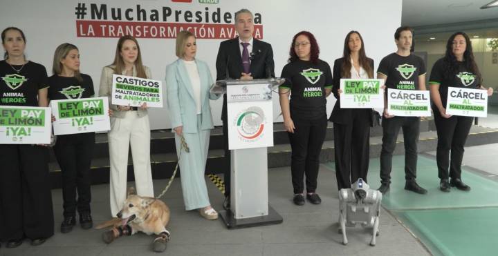 Waldo Fernández presenta iniciativa para castigar maltrato animal