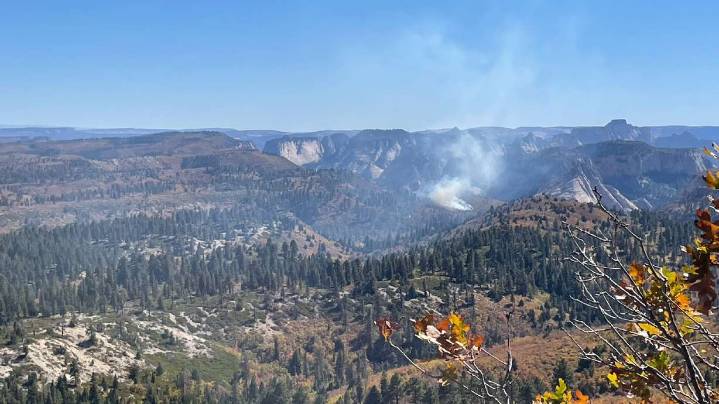 Lightning strike causes wildfire in Zion National Park, prompting multiple closures