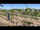 New report highlights Phoenix’s progress in fighting food insecurity over five years