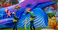 Chinese lanterns return to Edinburgh Zoo in spectacular light display
