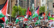 'Stop this genocide': plea for lasting Gaza ceasefire