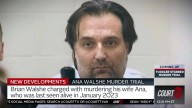 Accused Murderer Brian Walshe’s Trial Delayed By Competency Concerns