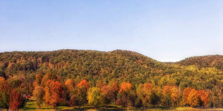 First Alert Forecast: Fall, is that you in our forecast this week?