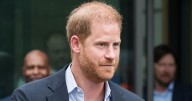 Prince Harry blow as Chad cuts ties with his 'disrespectful' charity African Parks