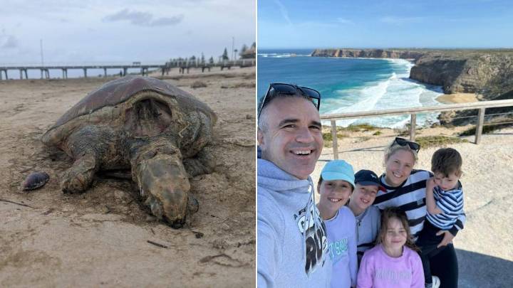 Coastal diners score big cashback as scheme launches across South Australia