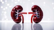 Hyderabad Faces Surge in Mysterious Kidney Disease Among Healthy Youth, Study Finds