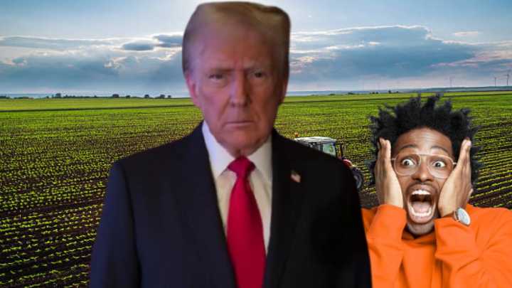 Los lugares de trabajo en Estados Unidos que están devastados después de un cambio radical de Trump en las visas