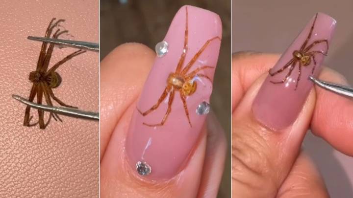 Manicurista coloca arañas reales encapsuladas en las uñas y se hace viral