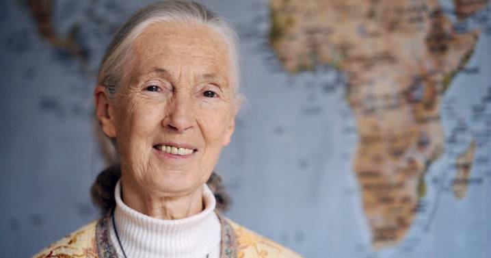 Jane Goodall, legendary primatologist, has died at age 91