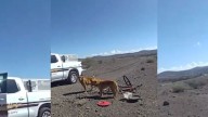 Arizona Man Was Shocked To Discover 2 Dogs Tied To A Bike And Abandoned In The Desert