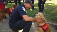 First responders endure high levels of stress. These dogs can lighten the load