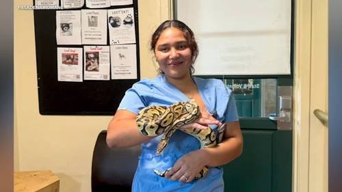 Python found at Southern California In-N-Out reunited with owner