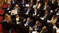 El Senado dejó firmes emergencia pediátrica y financiamiento universitario