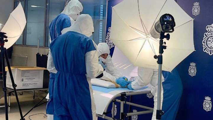 La Policía sospecha que el cuadro de Picasso ya recuperado nunca salió de Madrid