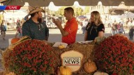 West Side Nut Club reveal Fall Fest parade details