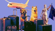 Las aerolíneas pagarán lo mismo por perder tu mascota que una maleta