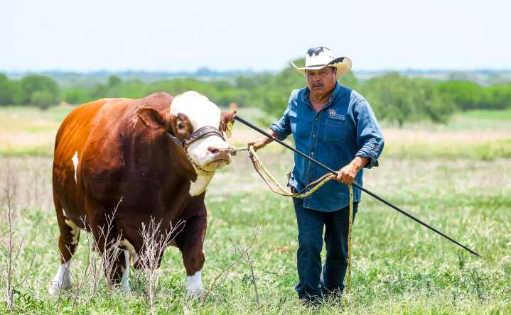 Creará UANL en Linares Centro de Desarrollo de Nutrición Animal