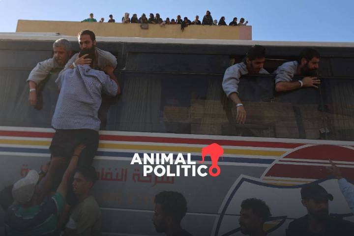 “Como volver a nacer”: palestinos vuelven con sus familias tras ser liberados de prisión por Israel