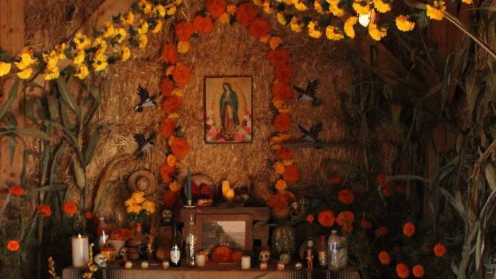 Desfile de Día de Muertos regresará al Centro de Tijuana con festival gastronómico y artístico