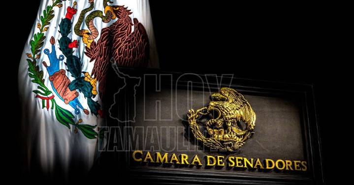 Senado aprueba con modificaciones reforma para fortalecer y modernizar la Ley Aduanera