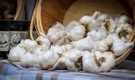 Easton Garlic Fest 2025: See what’s in store for the event