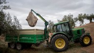 Bruselas exige a la Eurocámara suavizar los requisitos verdes para acceder a la financiación de la PAC