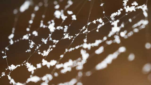 Iowa weather: Night owls may see some snowflakes overnight Friday into Saturday