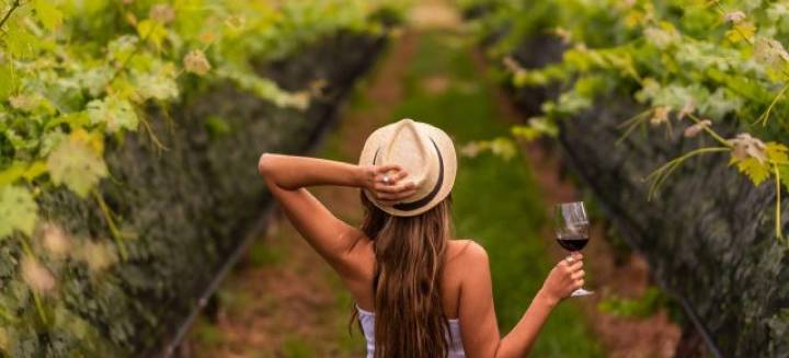 LA RIOJA HABLA DE 60% DE OCUPACIÓN HOTELERA DURANTE EL FINDE XL