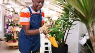 Why Painted Plants Are Tacky, Harmful, And Should Be Avoided