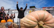 California engineer wins pumpkin contest with 2,346